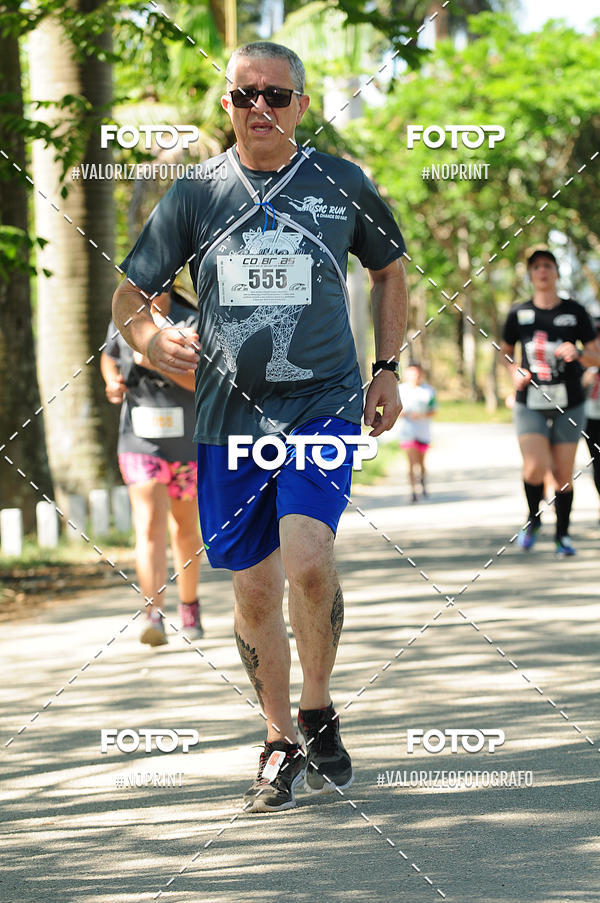 Compra tus fotos del eventoPIT BULL RUNNING En Fotop