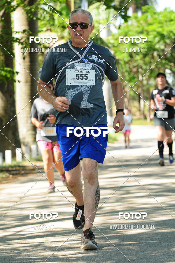Compra tus fotos del eventoPIT BULL RUNNING En Fotop