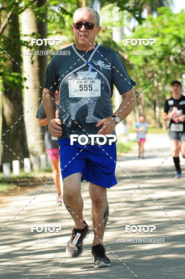 Compra tus fotos del eventoPIT BULL RUNNING En Fotop