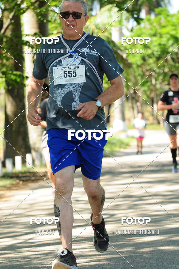 Compra tus fotos del eventoPIT BULL RUNNING En Fotop