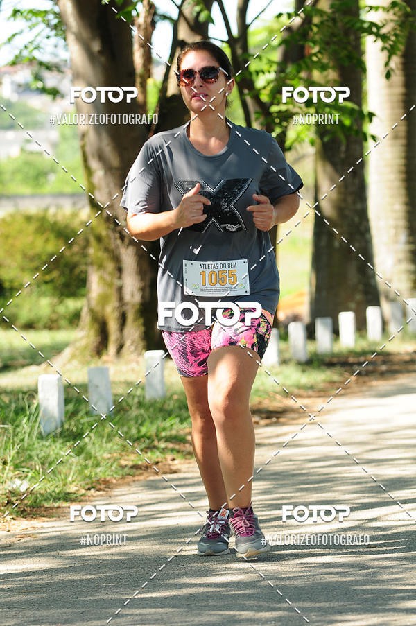 Compra tus fotos del eventoPIT BULL RUNNING En Fotop