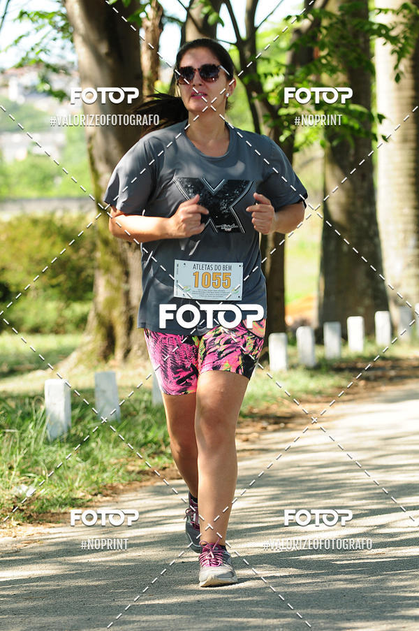 Compra tus fotos del eventoPIT BULL RUNNING En Fotop