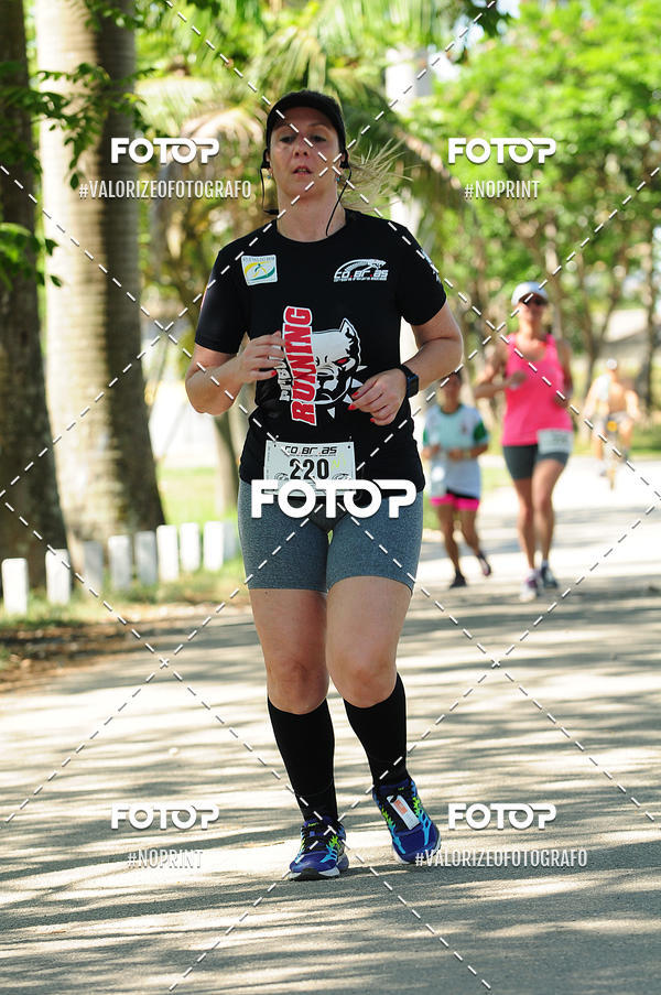 Compra tus fotos del eventoPIT BULL RUNNING En Fotop