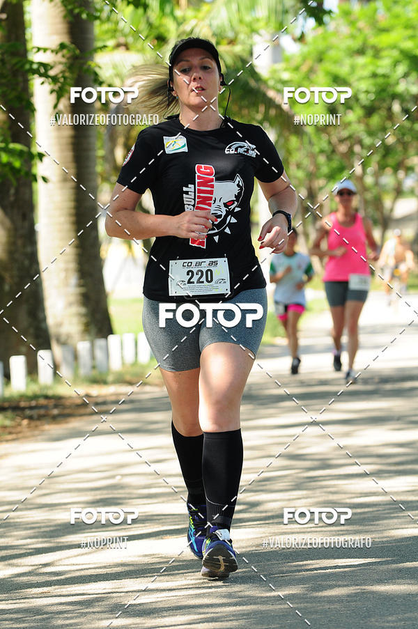 Compra tus fotos del eventoPIT BULL RUNNING En Fotop