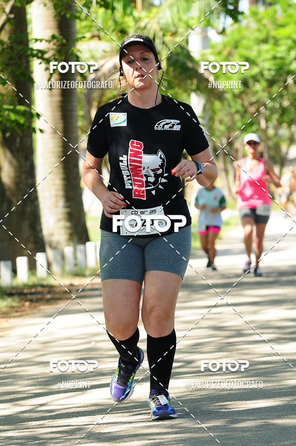 Compra tus fotos del eventoPIT BULL RUNNING En Fotop