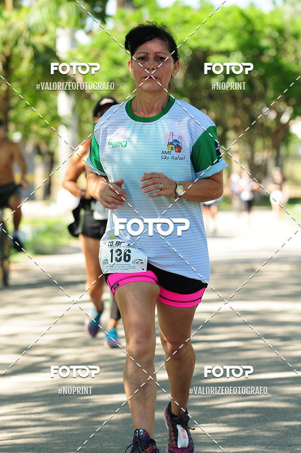 Achetez vos photos de l'vnementPIT BULL RUNNING sur Fotop