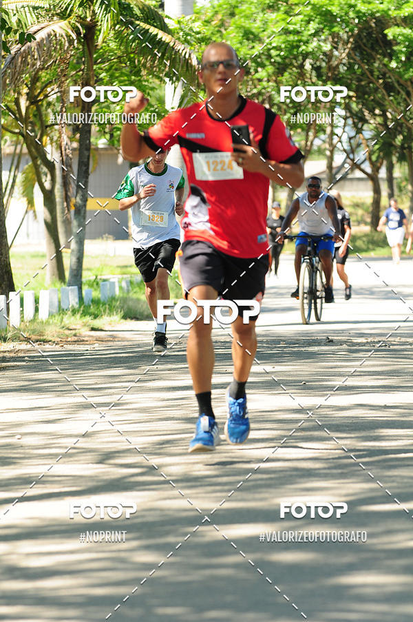 Achetez vos photos de l'vnementPIT BULL RUNNING sur Fotop