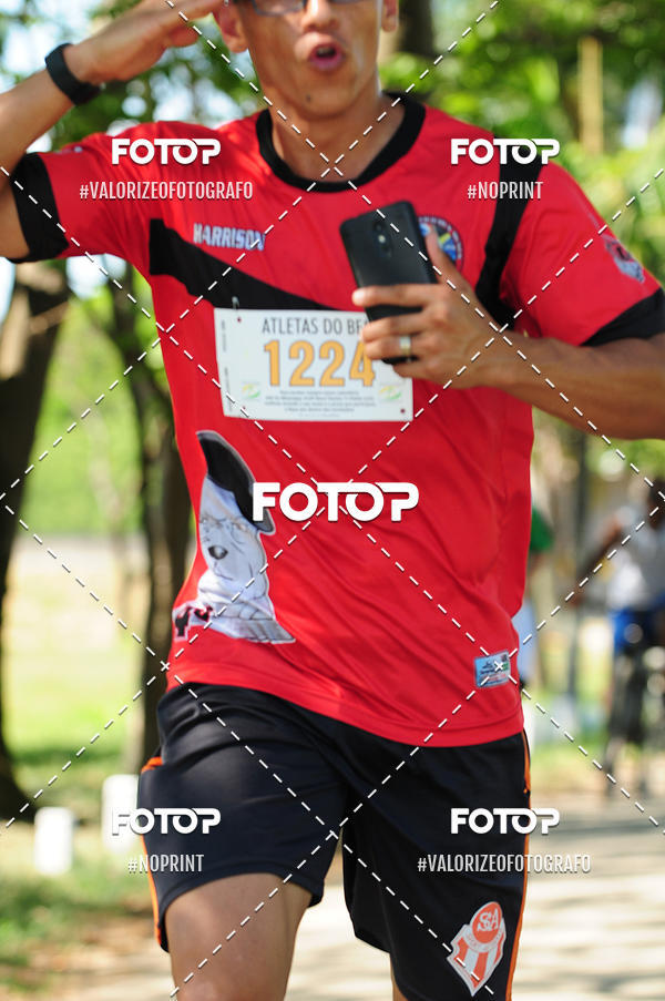 Achetez vos photos de l'vnementPIT BULL RUNNING sur Fotop