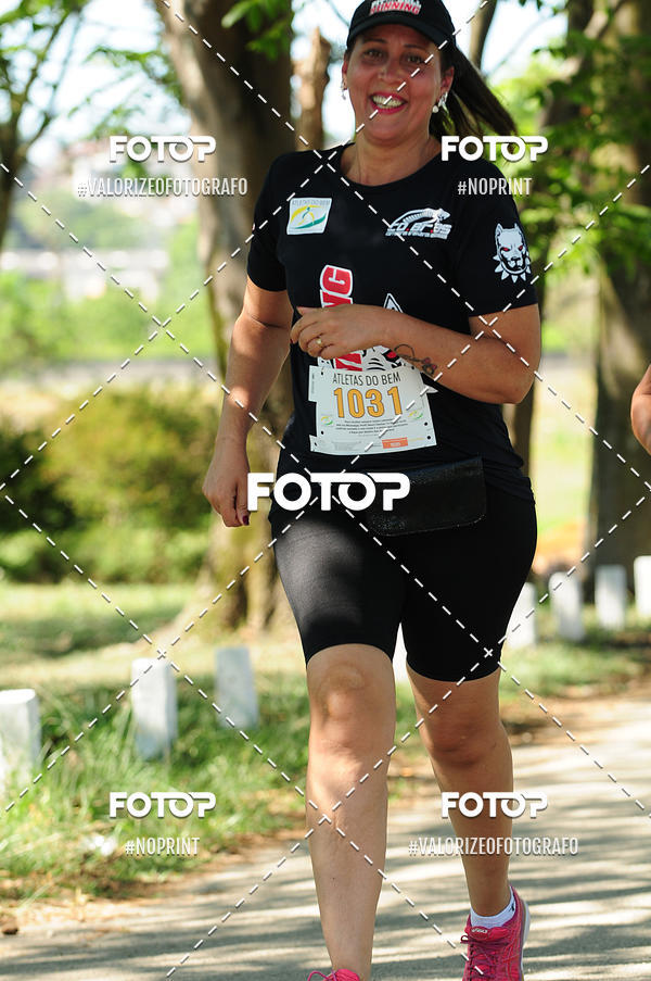 Compra tus fotos del eventoPIT BULL RUNNING En Fotop