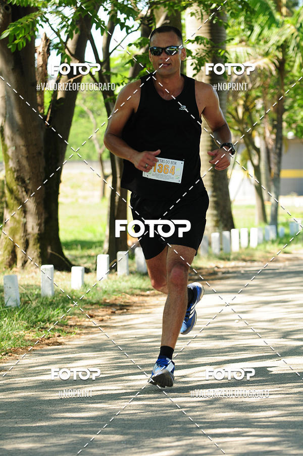 Compra tus fotos del eventoPIT BULL RUNNING En Fotop