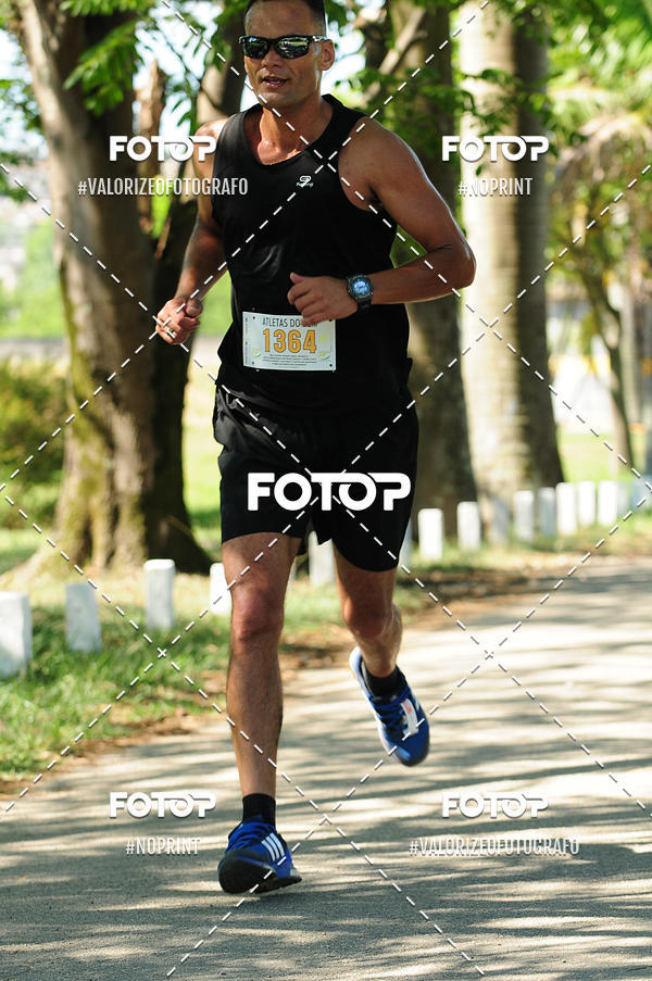 Compra tus fotos del eventoPIT BULL RUNNING En Fotop