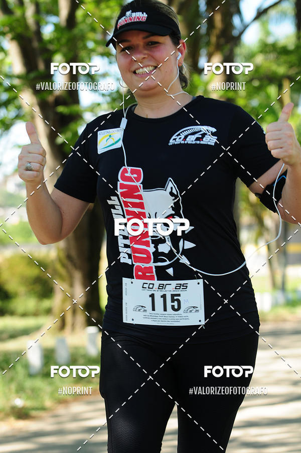 Compra tus fotos del eventoPIT BULL RUNNING En Fotop