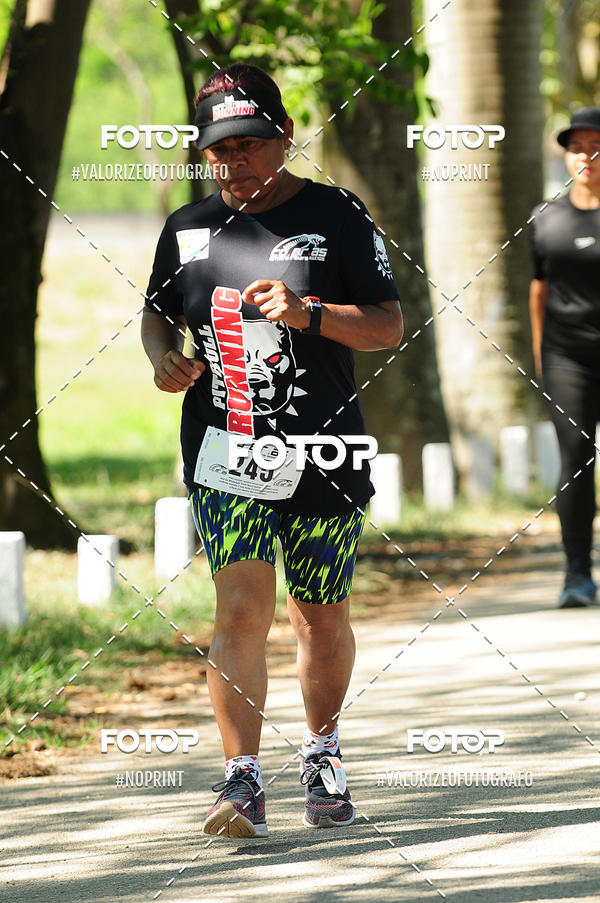 Compra tus fotos del eventoPIT BULL RUNNING En Fotop