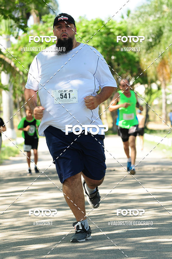 Compra tus fotos del eventoPIT BULL RUNNING En Fotop