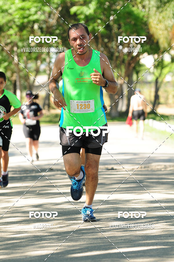 Compra tus fotos del eventoPIT BULL RUNNING En Fotop