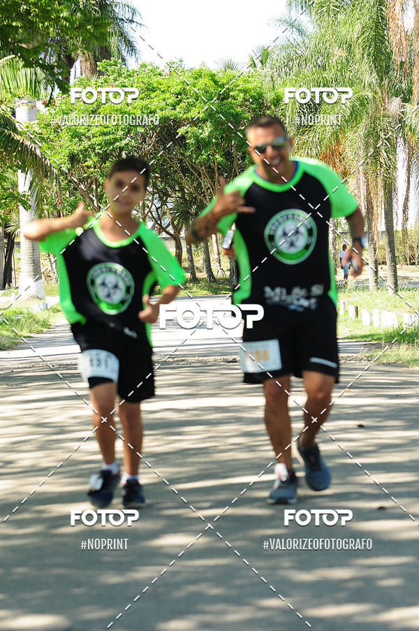 Compra tus fotos del eventoPIT BULL RUNNING En Fotop