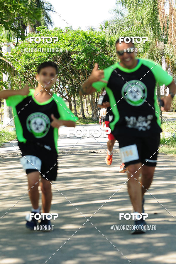 Achetez vos photos de l'vnementPIT BULL RUNNING sur Fotop