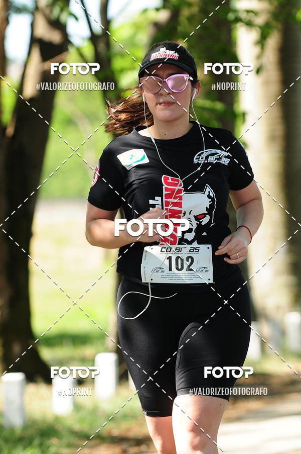 Achetez vos photos de l'vnementPIT BULL RUNNING sur Fotop