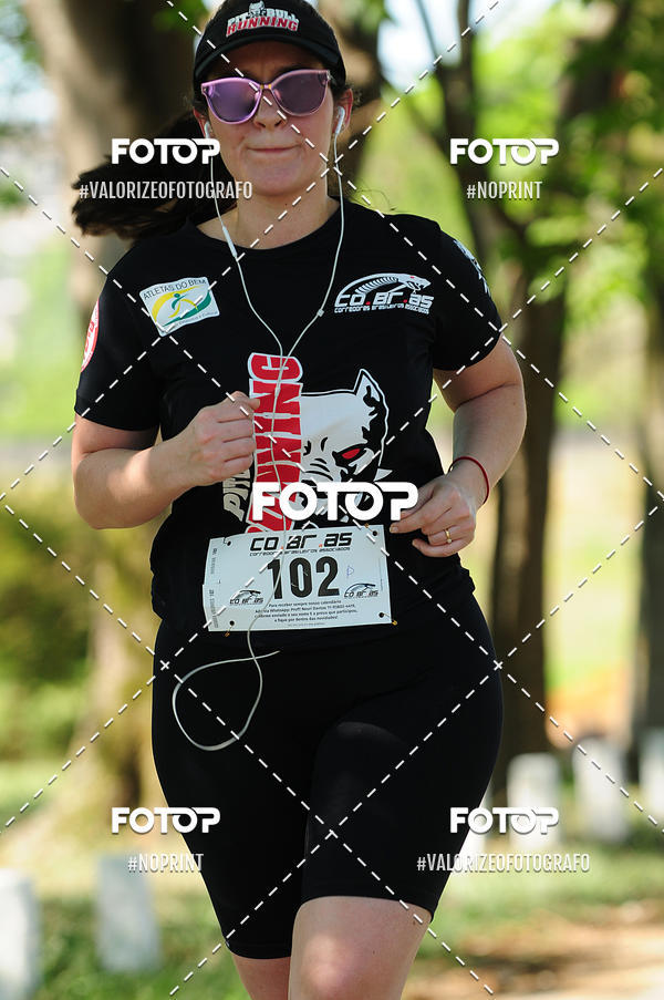 Achetez vos photos de l'vnementPIT BULL RUNNING sur Fotop