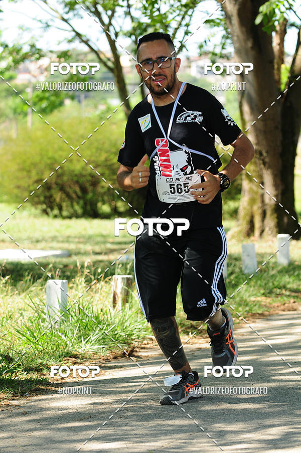 Achetez vos photos de l'vnementPIT BULL RUNNING sur Fotop