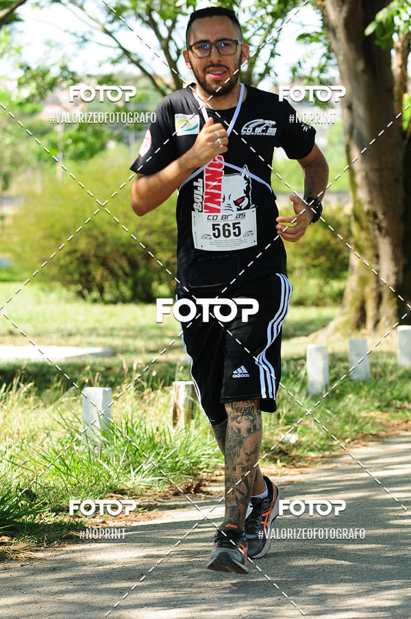 Achetez vos photos de l'vnementPIT BULL RUNNING sur Fotop