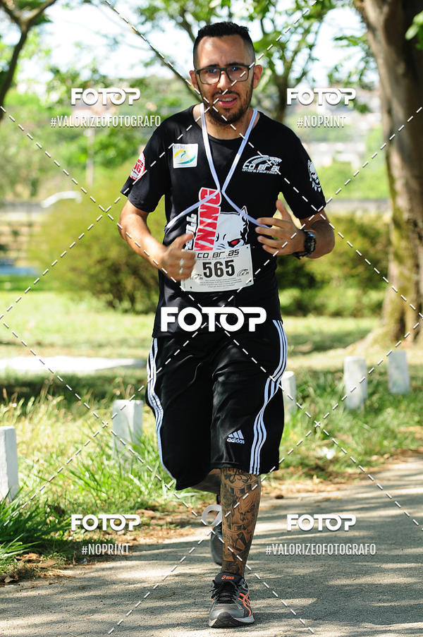 Achetez vos photos de l'vnementPIT BULL RUNNING sur Fotop