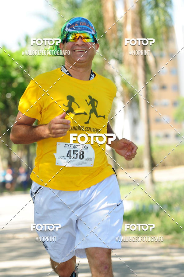 Achetez vos photos de l'vnementPIT BULL RUNNING sur Fotop