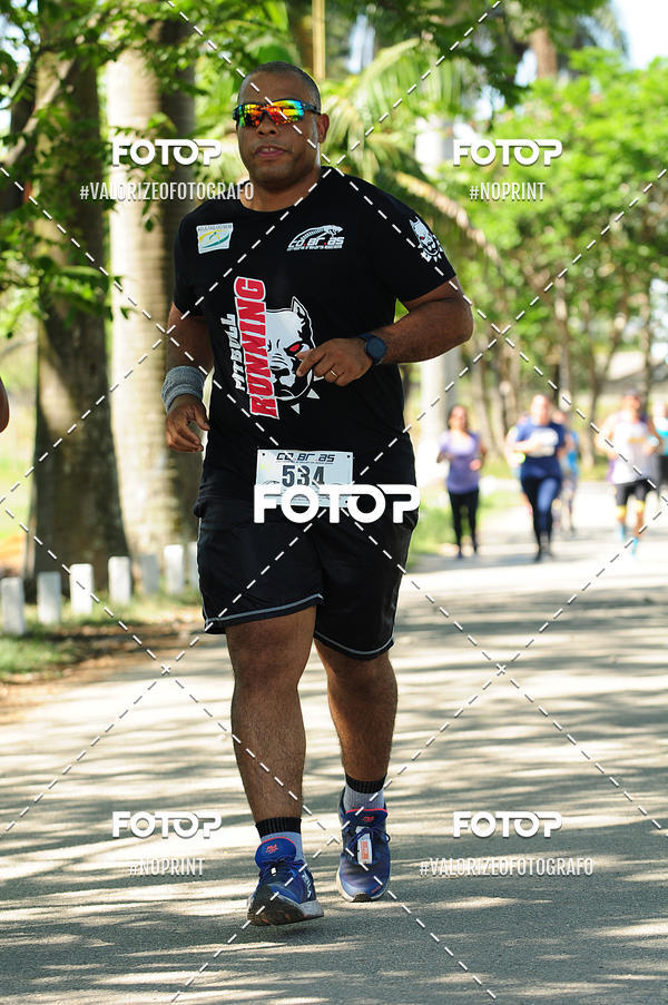 Acquista le foto dell'eventoPIT BULL RUNNING in Fotop