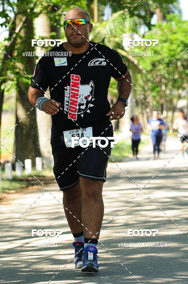 Acquista le foto dell'eventoPIT BULL RUNNING in Fotop