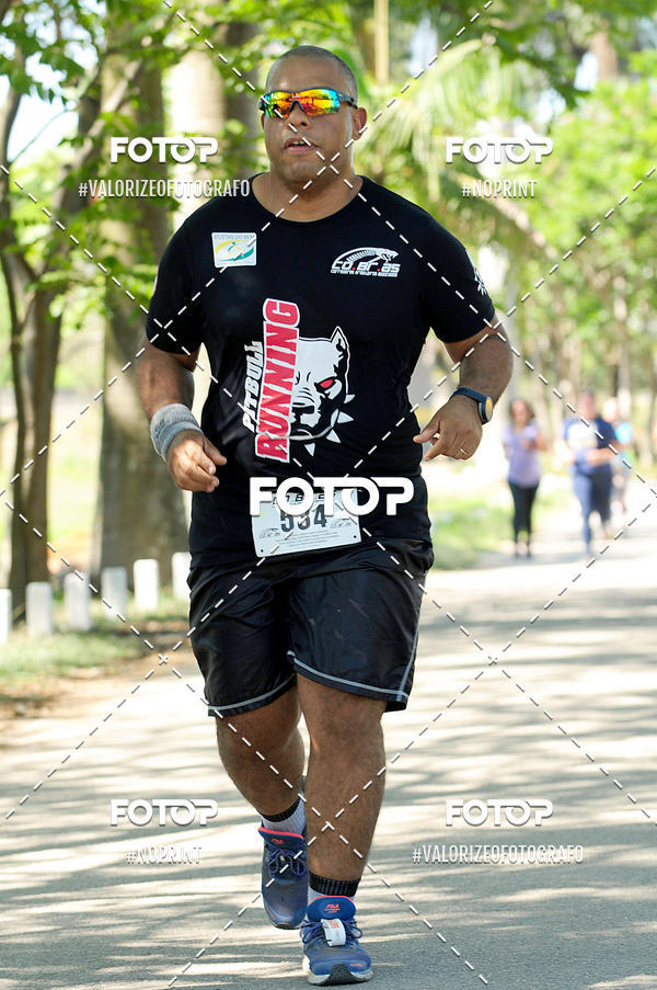 Acquista le foto dell'eventoPIT BULL RUNNING in Fotop