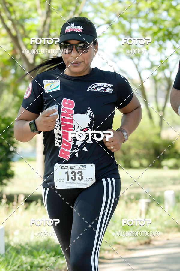 Acquista le foto dell'eventoPIT BULL RUNNING in Fotop