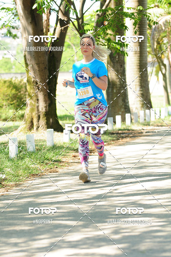 Acquista le foto dell'eventoPIT BULL RUNNING in Fotop