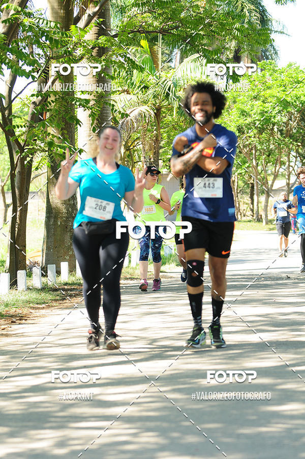 Acquista le foto dell'eventoPIT BULL RUNNING in Fotop