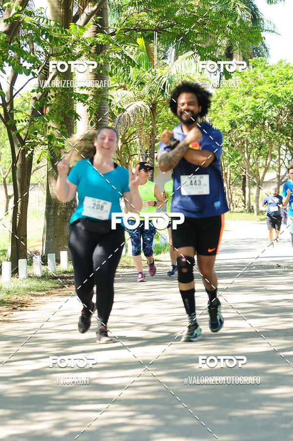 Acquista le foto dell'eventoPIT BULL RUNNING in Fotop