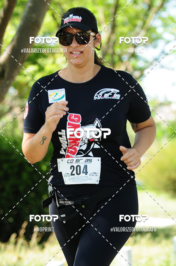 Compre suas fotos do eventoPIT BULL RUNNING no Fotop