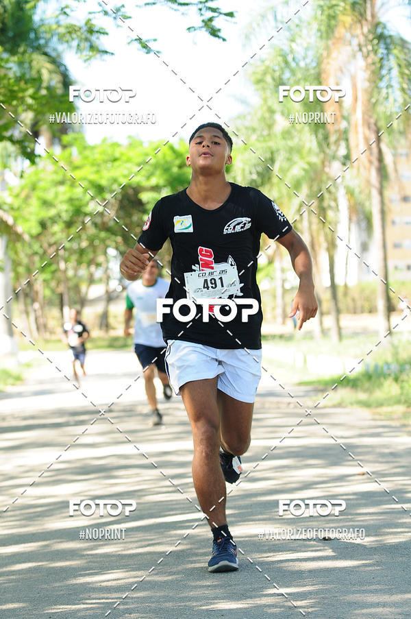 Compre as suas fotos do eventoPIT BULL RUNNING no Fotop