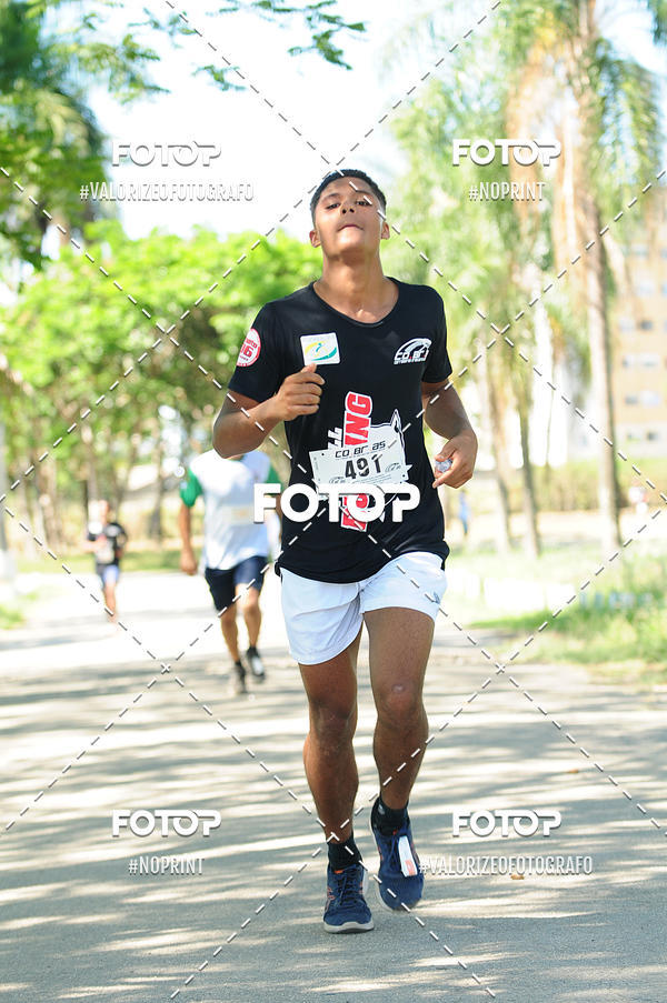 Compre as suas fotos do eventoPIT BULL RUNNING no Fotop