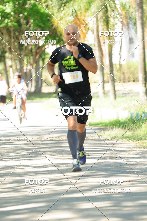 Compre as suas fotos do eventoPIT BULL RUNNING no Fotop