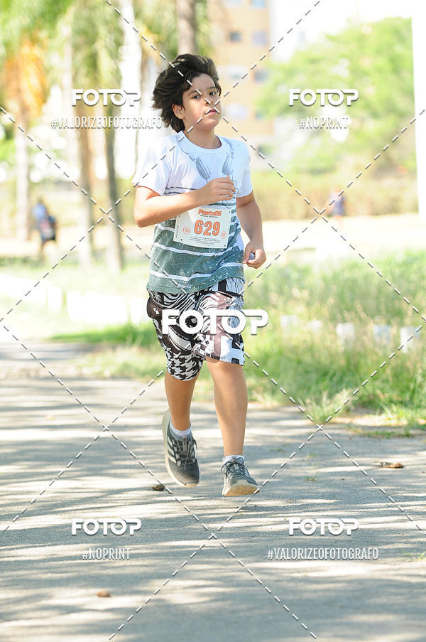 Achetez vos photos de l'vnementPIT BULL RUNNING sur Fotop