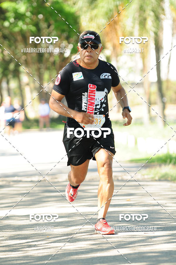 Compra tus fotos del eventoPIT BULL RUNNING En Fotop