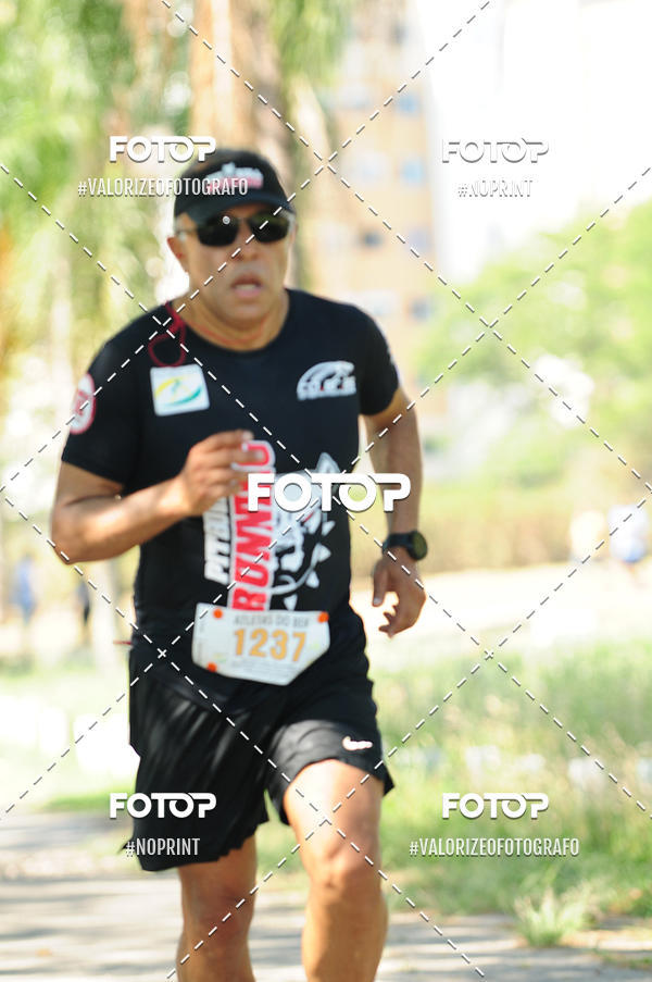 Compra tus fotos del eventoPIT BULL RUNNING En Fotop