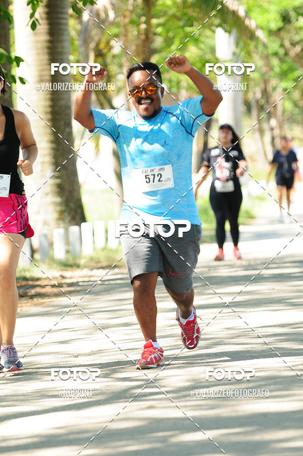 Compra tus fotos del eventoPIT BULL RUNNING En Fotop