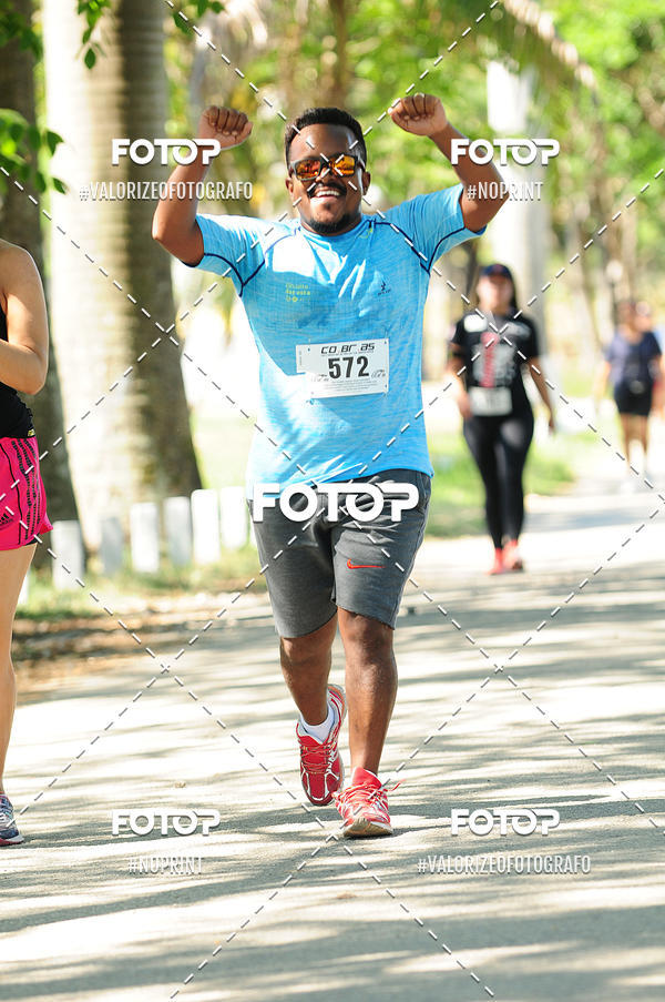 Compra tus fotos del eventoPIT BULL RUNNING En Fotop