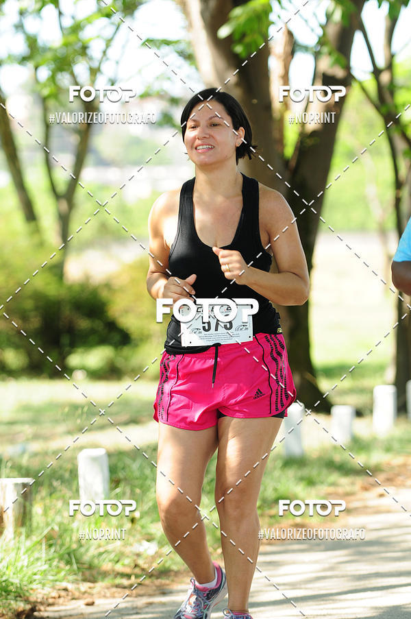 Compra tus fotos del eventoPIT BULL RUNNING En Fotop