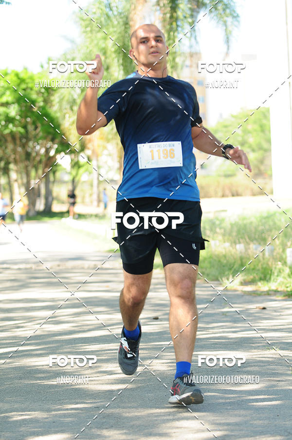 Compra tus fotos del eventoPIT BULL RUNNING En Fotop