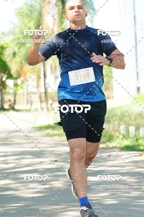 Compra tus fotos del eventoPIT BULL RUNNING En Fotop