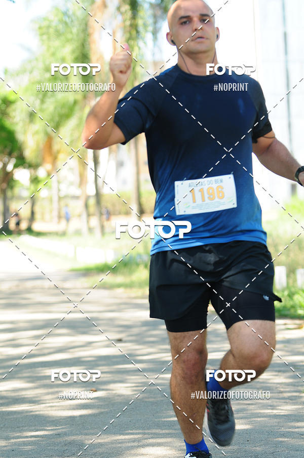 Compra tus fotos del eventoPIT BULL RUNNING En Fotop