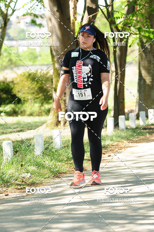 Compra tus fotos del eventoPIT BULL RUNNING En Fotop