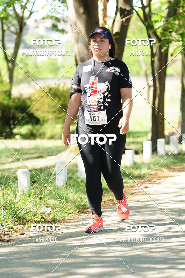 Compra tus fotos del eventoPIT BULL RUNNING En Fotop