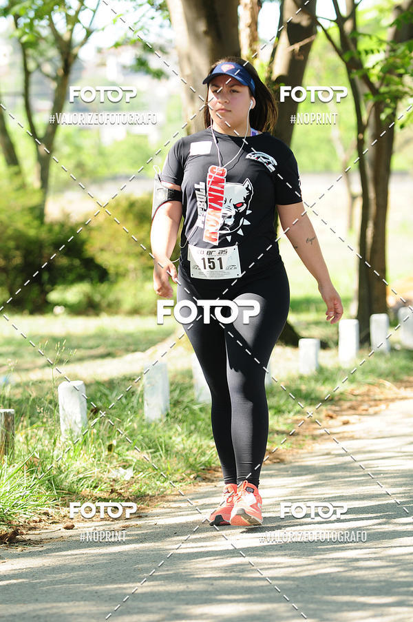 Compra tus fotos del eventoPIT BULL RUNNING En Fotop